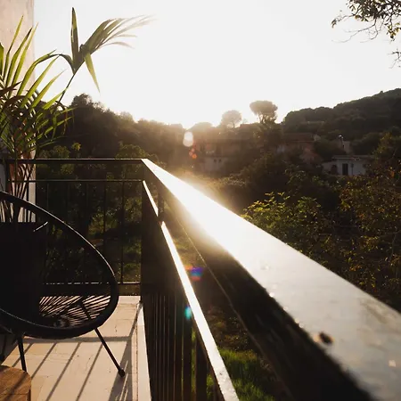 Olive Grove Boutique Hotell Moraitika